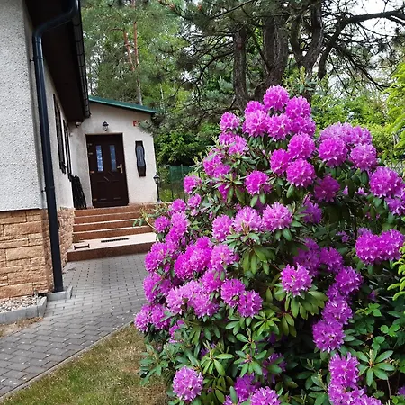 Lodge Rynartice 7 *