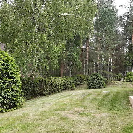 Rynartice 7
