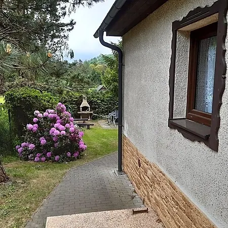 Rynartice 7 山林小屋 *