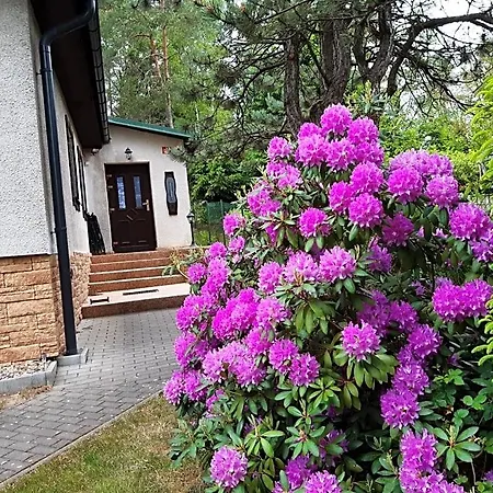 Rynartice 7 山林小屋 Jetřichovice